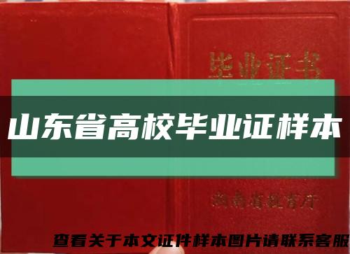 山东省高校毕业证样本缩略图