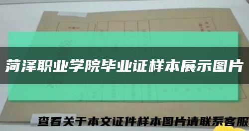 菏泽职业学院毕业证样本展示图片缩略图