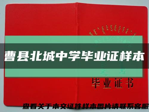 曹县北城中学毕业证样本缩略图