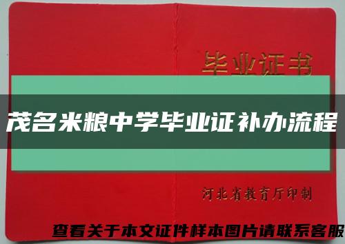 茂名米粮中学毕业证补办流程缩略图