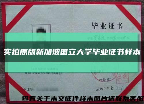 实拍原版新加坡国立大学毕业证书样本缩略图