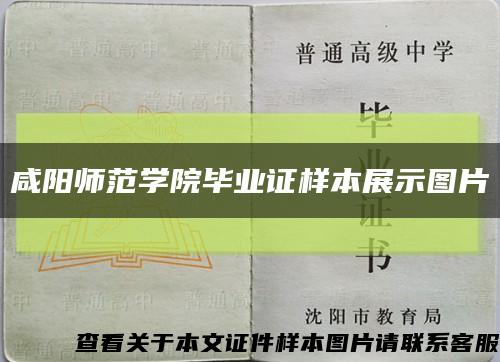 咸阳师范学院毕业证样本展示图片缩略图