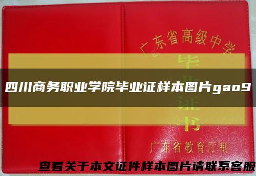四川商务职业学院毕业证样本图片gao9缩略图