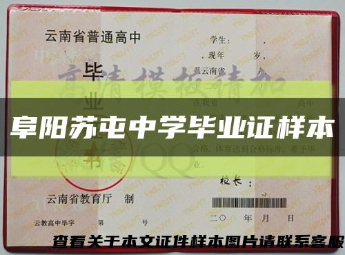 阜阳苏屯中学毕业证样本缩略图