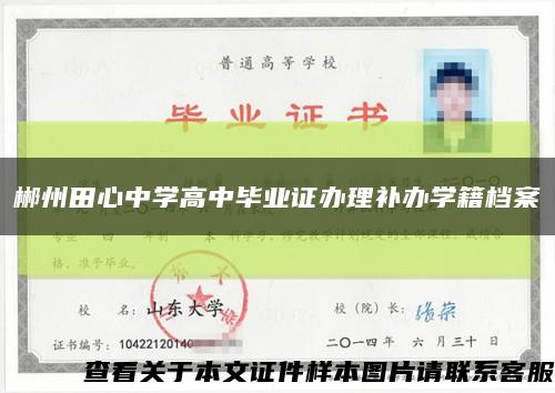 郴州田心中学高中毕业证办理补办学籍档案缩略图