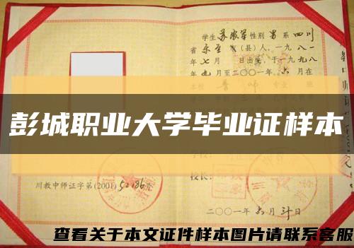 彭城职业大学毕业证样本缩略图