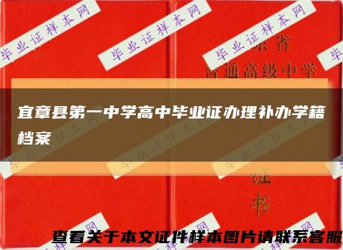 宜章县第一中学高中毕业证办理补办学籍档案缩略图