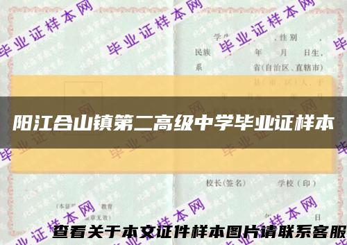 阳江合山镇第二高级中学毕业证样本缩略图