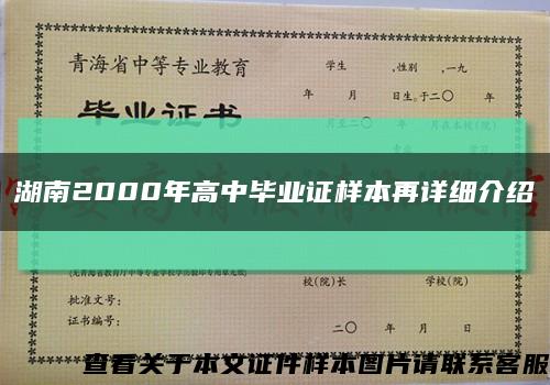 湖南2000年高中毕业证样本再详细介绍缩略图