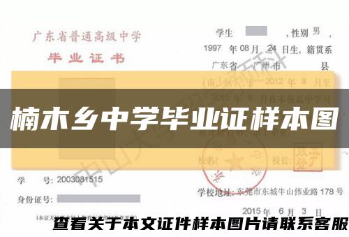 楠木乡中学毕业证样本图缩略图