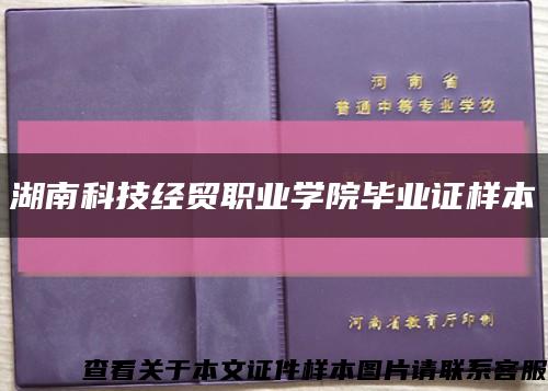 湖南科技经贸职业学院毕业证样本缩略图