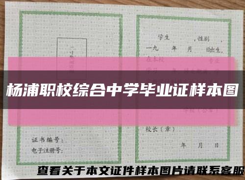 杨浦职校综合中学毕业证样本图缩略图