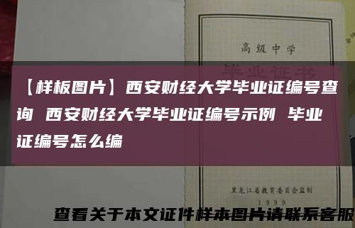 【样板图片】西安财经大学毕业证编号查询 西安财经大学毕业证编号示例 毕业证编号怎么编缩略图