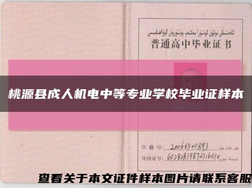 桃源县成人机电中等专业学校毕业证样本缩略图
