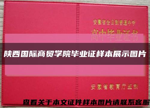 陕西国际商贸学院毕业证样本展示图片缩略图