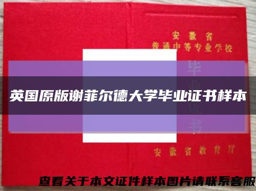 英国原版谢菲尔德大学毕业证书样本缩略图