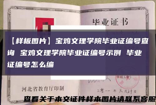 【样板图片】宝鸡文理学院毕业证编号查询 宝鸡文理学院毕业证编号示例 毕业证编号怎么编缩略图