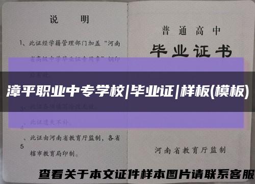 漳平职业中专学校|毕业证|样板(模板)缩略图