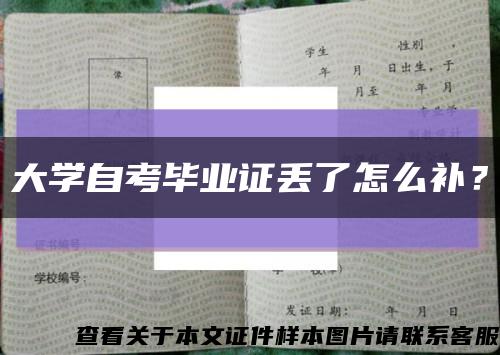 大学自考毕业证丢了怎么补？缩略图