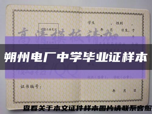 朔州电厂中学毕业证样本缩略图