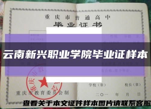 云南新兴职业学院毕业证样本缩略图