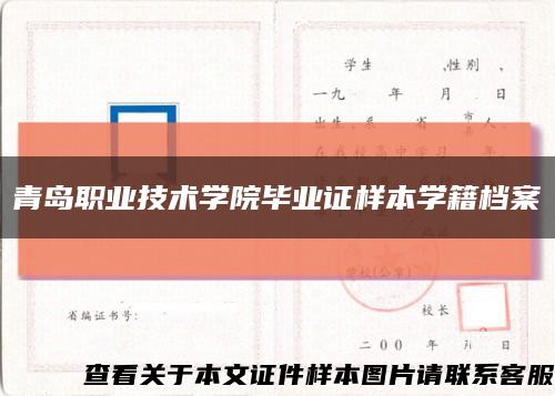 青岛职业技术学院毕业证样本学籍档案缩略图