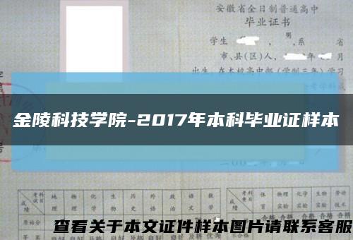 金陵科技学院-2017年本科毕业证样本缩略图