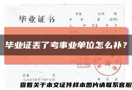 毕业证丢了考事业单位怎么补？缩略图