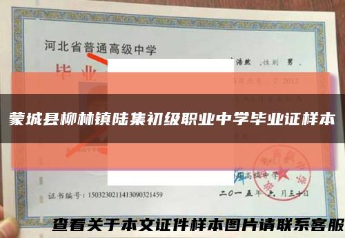 蒙城县柳林镇陆集初级职业中学毕业证样本缩略图
