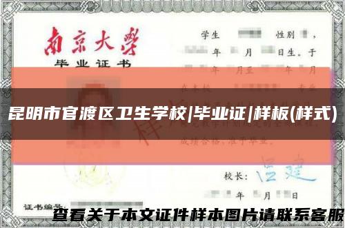 昆明市官渡区卫生学校|毕业证|样板(样式)缩略图