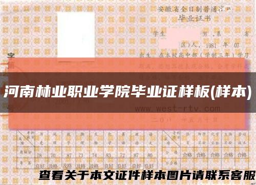 河南林业职业学院毕业证样板(样本)缩略图