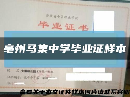 亳州马集中学毕业证样本缩略图