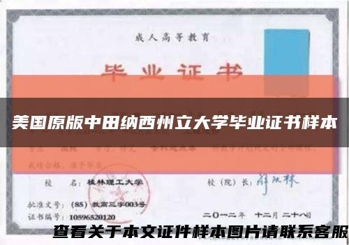美国原版中田纳西州立大学毕业证书样本缩略图