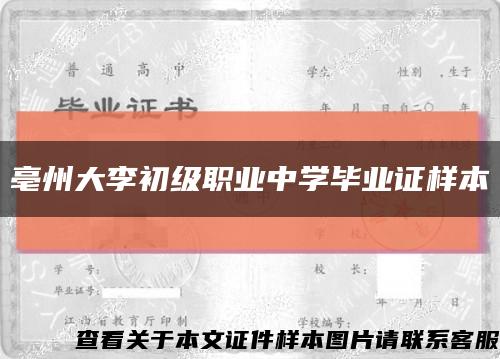 亳州大李初级职业中学毕业证样本缩略图