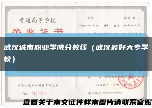 武汉城市职业学院分数线（武汉最好大专学校）缩略图