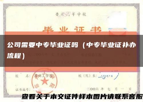 公司需要中专毕业证吗（中专毕业证补办流程）缩略图