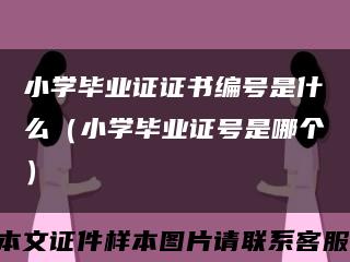 小学毕业证证书编号是什么（小学毕业证号是哪个）缩略图