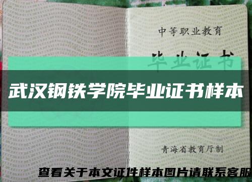 武汉钢铁学院毕业证书样本缩略图