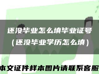 还没毕业怎么填毕业证号（还没毕业学历怎么填）缩略图