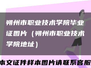 朔州市职业技术学院毕业证图片（朔州市职业技术学院地址）缩略图