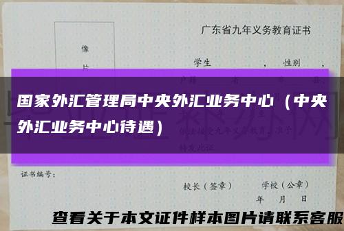 国家外汇管理局中央外汇业务中心（中央外汇业务中心待遇）缩略图