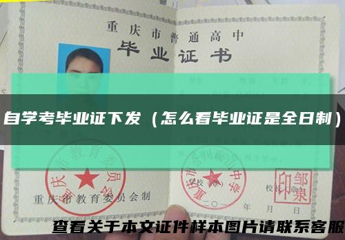 自学考毕业证下发（怎么看毕业证是全日制）缩略图