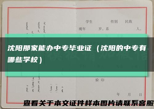 沈阳那家能办中专毕业证（沈阳的中专有哪些学校）缩略图