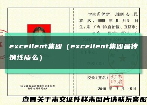 excellent集团（excellent集团是传销性质么）缩略图