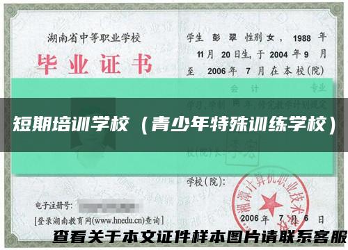短期培训学校（青少年特殊训练学校）缩略图