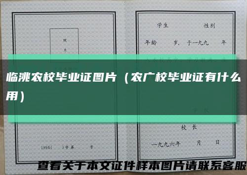 临洮农校毕业证图片（农广校毕业证有什么用）缩略图