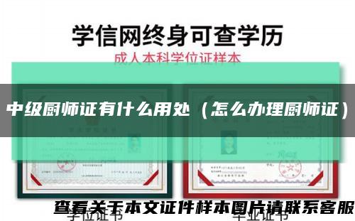 中级厨师证有什么用处（怎么办理厨师证）缩略图