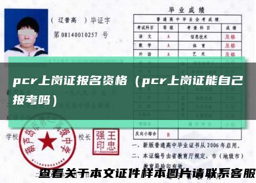 pcr上岗证报名资格（pcr上岗证能自己报考吗）缩略图