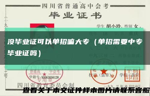 没毕业证可以单招嘛大专（单招需要中专毕业证吗）缩略图