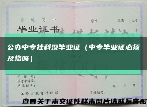 公办中专挂科没毕业证（中专毕业证必须及格吗）缩略图